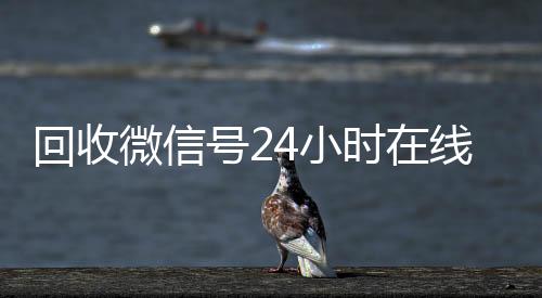 回收微信号24小回收微信号时在线秒结（回收微信号网站）